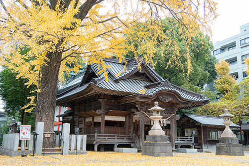 拝殿とご神木